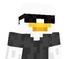 DuckyCXR's skin