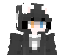 linrobot1145145's skin