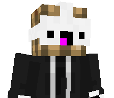 CraftMechanix's skin