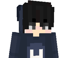 Svsok's skin