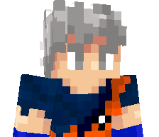 30743's skin
