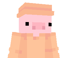 Pighammy's skin