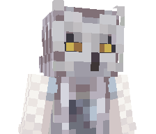 HintMC's skin