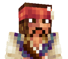 nirtflipurt's skin