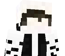 vulpiiz's skin