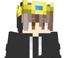 stpd4life123's skin