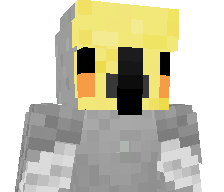 Felix_bird's skin