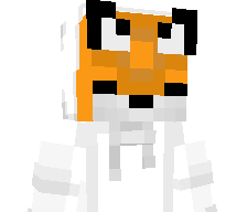 Retrofox_101's skin