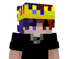 MelioTag's skin