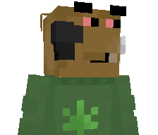 SrAcaracasa's skin