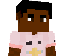 APR_x's skin