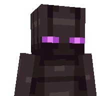 Enderixem's skin