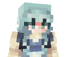 NMaxxk's skin
