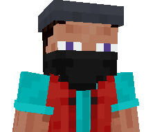 Gamer161085's skin