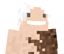 Vam360's skin