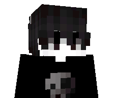 prad_wsp's skin