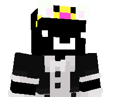 SnowyERR's skin