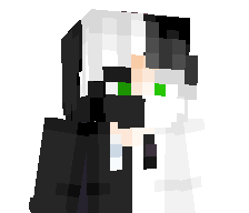 __Erick_'s skin