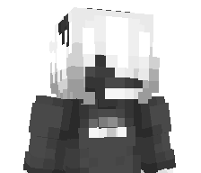 brisadino's skin