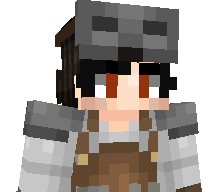 toastierveil340's skin