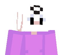 ws9Z's skin