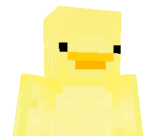 duckiers's skin