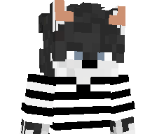 BorderCollieLui's skin