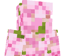 Denysocheck's skin