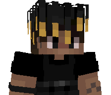 Linix0999's skin