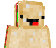 RollerCoaster341's skin