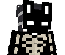 zkvshh62's skin