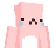 bwiq's skin