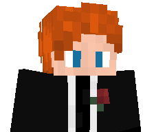 GingerNinja993's skin