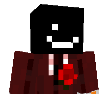 MANE333's skin