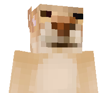 suinodle's skin