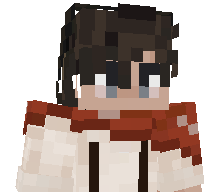 vojtisekq's skin