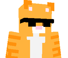 MrDucktales2010's skin