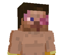 irisvlone's skin