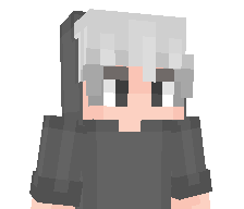 WinDiz1's skin