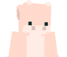 TheHowy's skin