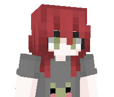 absvlute's skin