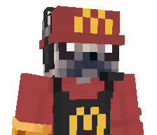 paukll's skin