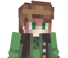 3R1k_I's skin