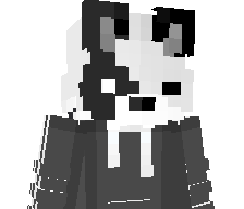 NightWhiteIsFox's skin