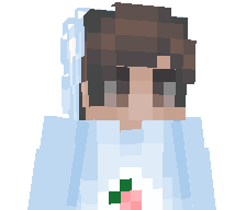 disco0's skin