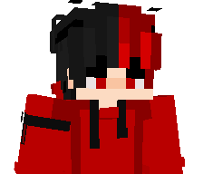 HenoyX's skin