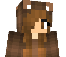 33333333's skin