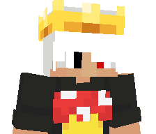 BANHACAIDA13's skin