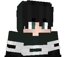 Shiinzx's skin