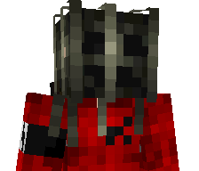 skin_ticket's skin